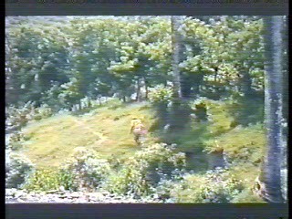 German tv dramas (2)