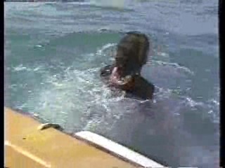 German tv dramas (2)