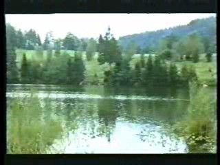 German tv movie, Wet T Shirt contest