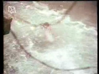 Tales of the Gold Monkey