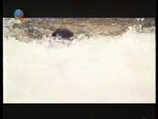 The Charge at Feather River