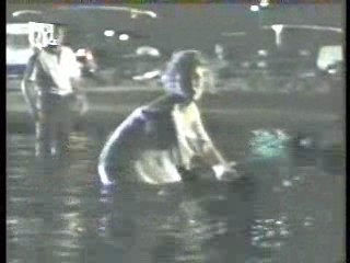 The Man from Atlantis,  German Disney Club (2)