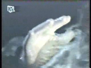 The Man from Atlantis,  German Disney Club (2)