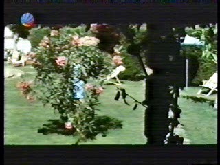 German movie,  Italian show,  Flinstones gameshow,  Italian movie