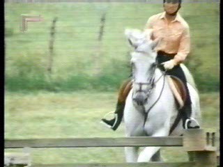 Sylvester,  German film