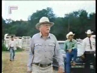 Sylvester,  German film