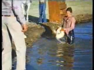 Sylvester,  German film