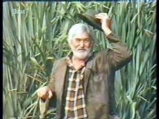 Sylvester,  German film