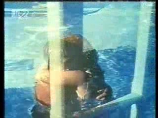 Bus Riley's Back in Town