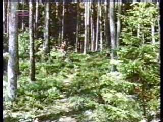 Flintstones Club,  German movie