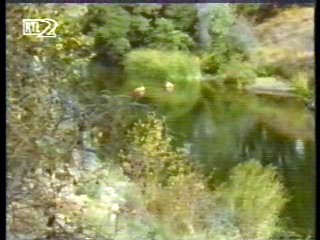 Mann O Mann Show,  Dr Quinn