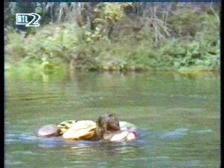 Mann O Mann Show,  Dr Quinn