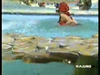 Jeux Sans Frontieres