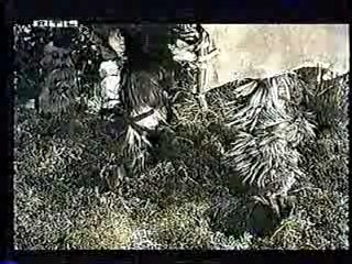 The Land that Time Forgot,  German TV,  Rally 'Round the Flag, Boys!