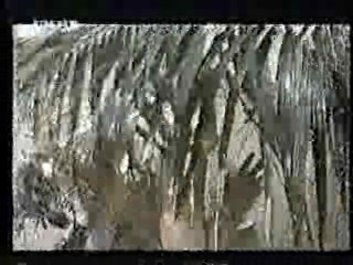 The Land that Time Forgot,  German TV,  Rally 'Round the Flag, Boys!