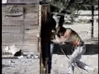 Lone Wolf McQuade,  Mann O Mann Show