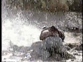 Lone Wolf McQuade,  Mann O Mann Show