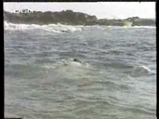 Eden,  Wet T Shirt Girl,  The Bionic Woman