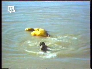 Eden,  Wet T Shirt Girl,  The Bionic Woman