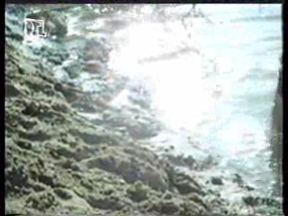 Eden,  Wet T Shirt Girl,  The Bionic Woman