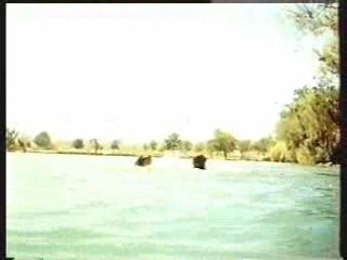 Hell's angels,  The Long Long Trailer