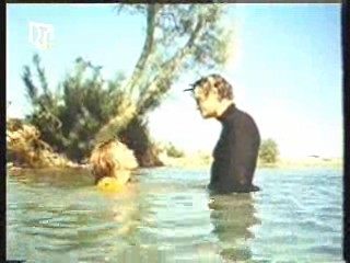 Hell's angels,  The Long Long Trailer