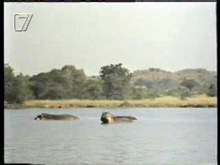 Jungle Film,  German movies (2), Germany's Funniest Home Videos