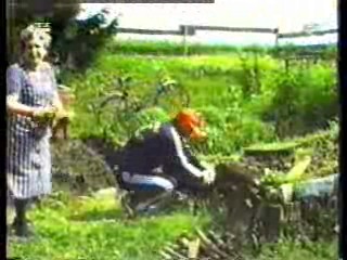 Jungle Film,  German movies (2), Germany's Funniest Home Videos