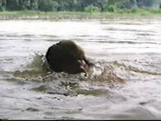 Beyond Rangoon (1995)