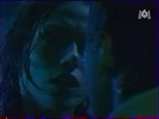 Panique Dans La Vile