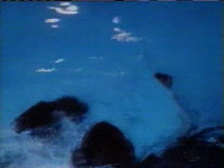 The BabySitter Seduction