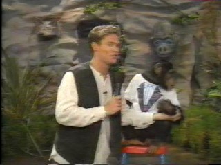 pie wild animal games