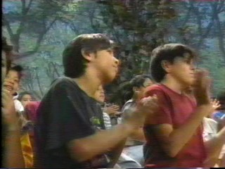 pie wild animal games