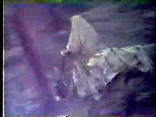 Elvira - Bloopers and Practical Jokes,  The Taming of the Shrew