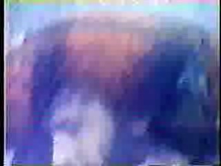 Elvira - Bloopers and Practical Jokes,  The Taming of the Shrew