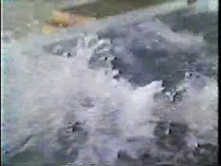 Doctor in Clover,  Oh God You Devil