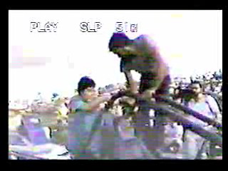 Swamp Buggy Beauty Queen Dunk