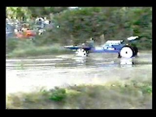 Swamp Buggy Beauty Queen Dunk