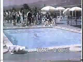 Night Patrol,  Sullivan's Travels,  America's Funniest Home Videos,  What Would You Do