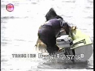 Night Patrol,  Sullivan's Travels,  America's Funniest Home Videos,  What Would You Do