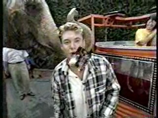 Wild Animal Games,  Family Challenge