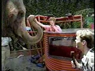 Wild Animal Games,  Family Challenge