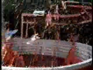 Wild Animal Games,  Family Challenge