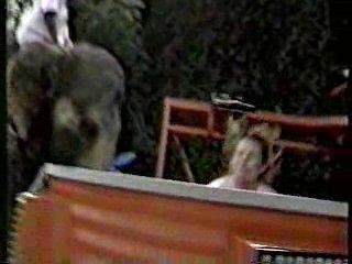 Wild Animal Games,  Family Challenge