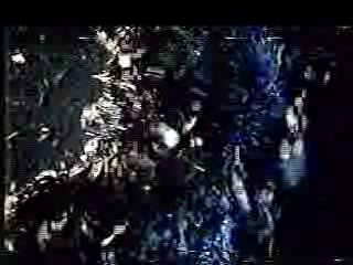 Elvira: Mistress of the Dark,  Wild Animal Games