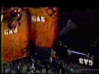 Elvira: Mistress of the Dark,  Wild Animal Games