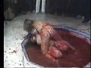 Messy Jelly Wrestling