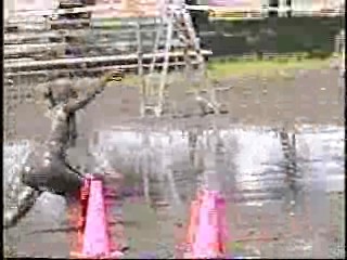 Hercules: The Legendary Journeys,  Charity Mud Volleyball