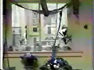 Hey Baby,  My Demon Lover,  Wet T Shirts