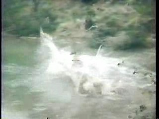 60's film, Totally Hidden Video,  Hee Haw,  The Virginian,  U.S. gameshow